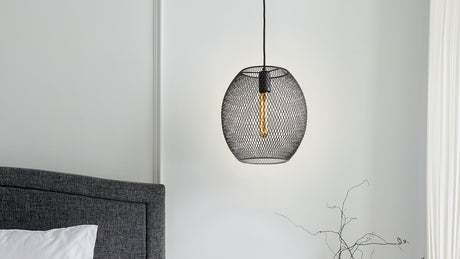 The Bergen Collection