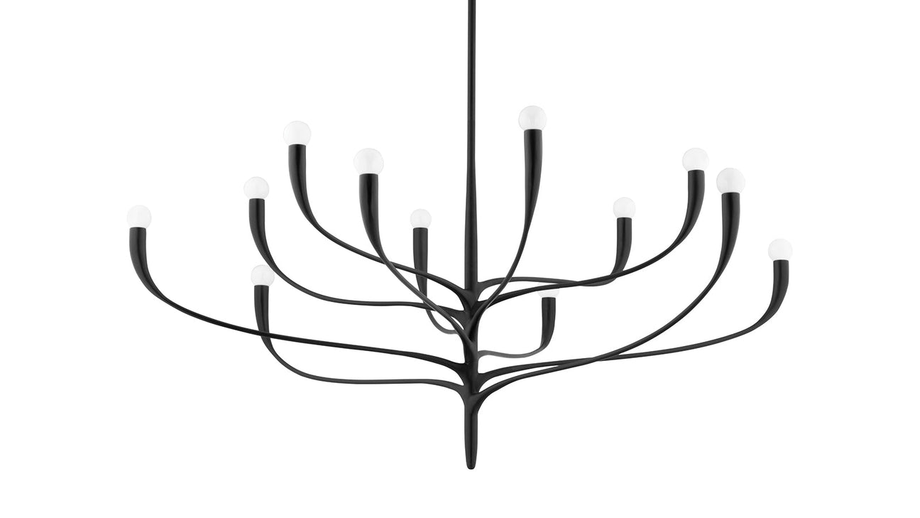 The Anita Collection