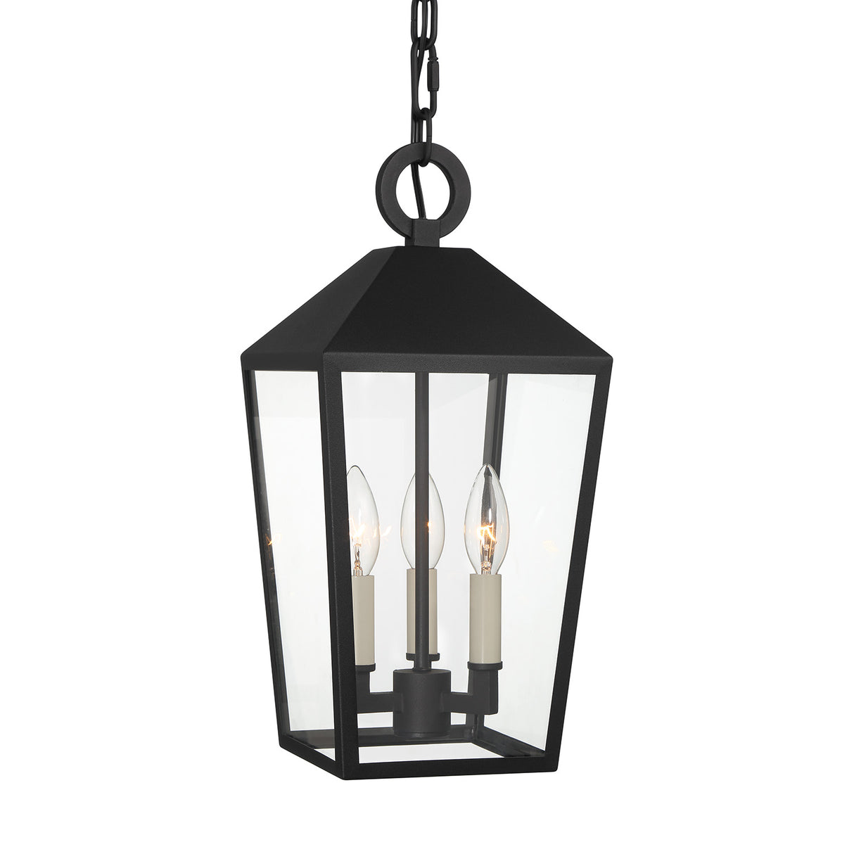 Cole Outdoor Hanging Light, Black