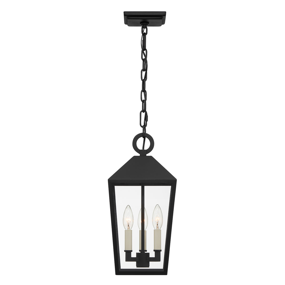 Cole Outdoor Hanging Light, Black