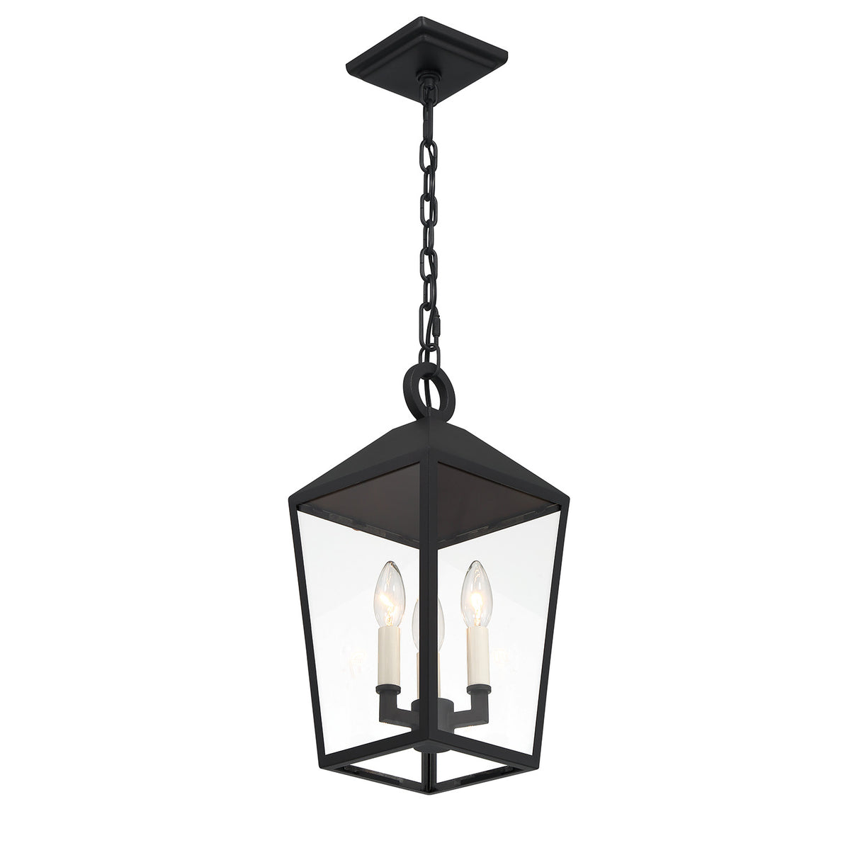 Cole Outdoor Hanging Light, Black