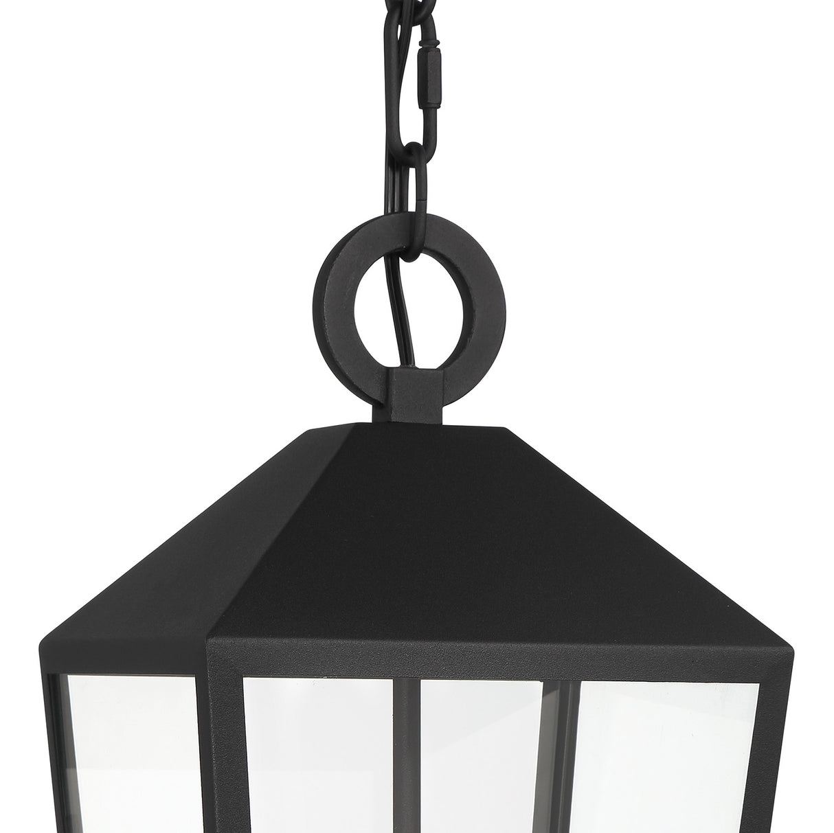 Cole Outdoor Hanging Light, Black