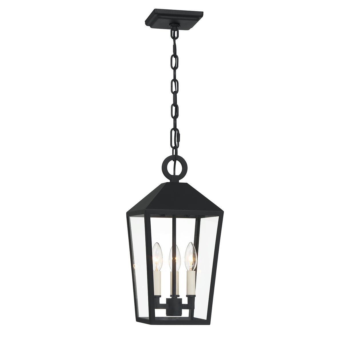 Cole Outdoor Hanging Light, Black