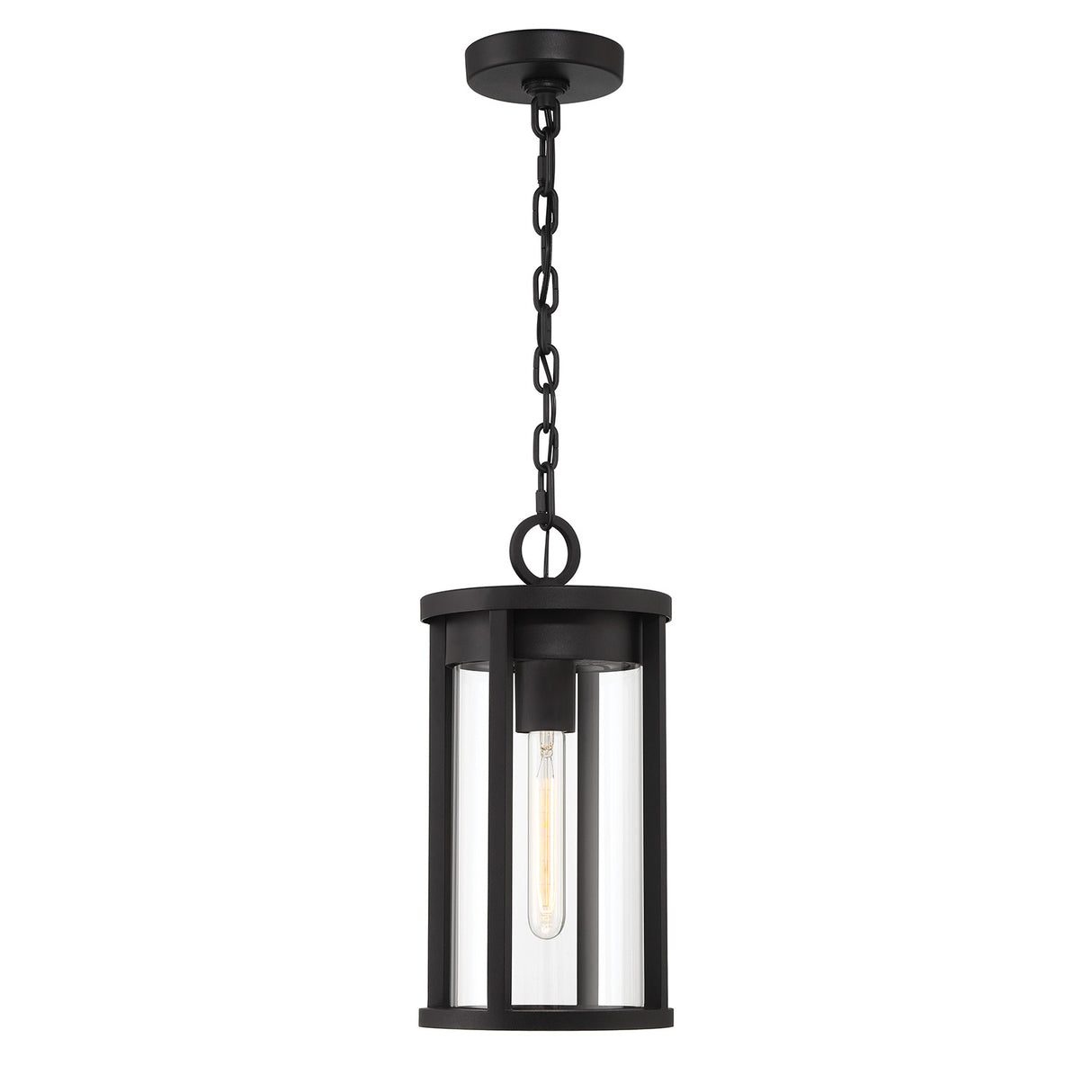 Cyrus Outdoor Hanging Light