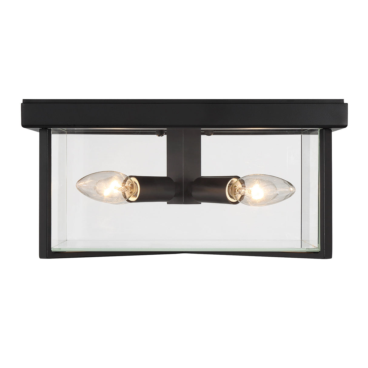Miles Indoor/Outdoor Flush Mount 12", Matte Black