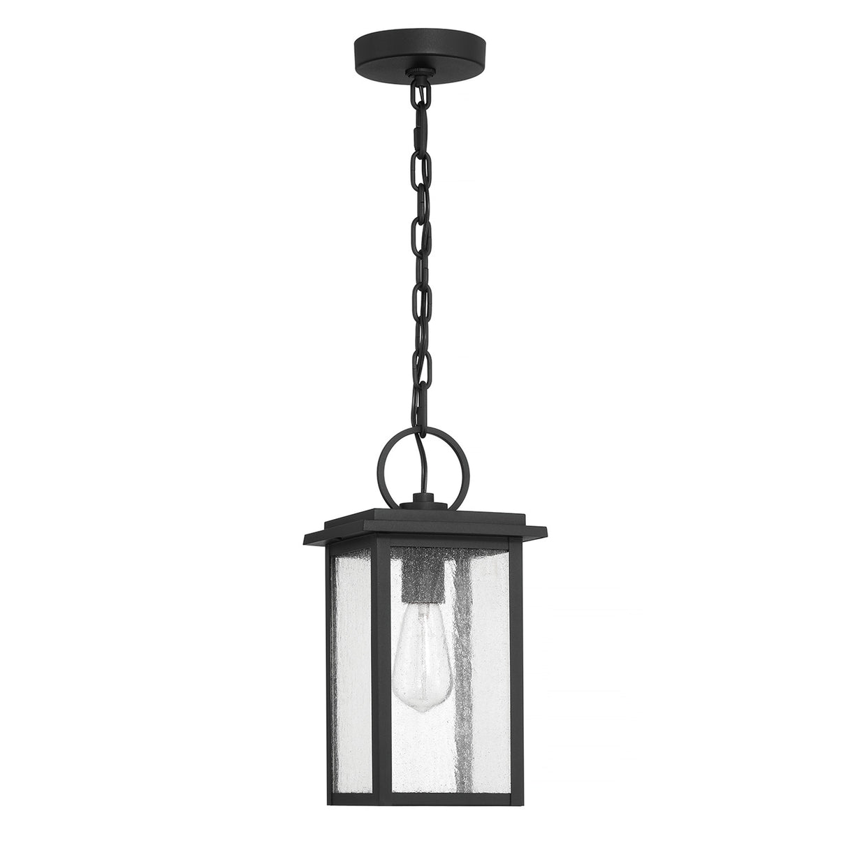 Paterson Outdoor Hanging Light, Medium 15", Black and Seeded Glass
