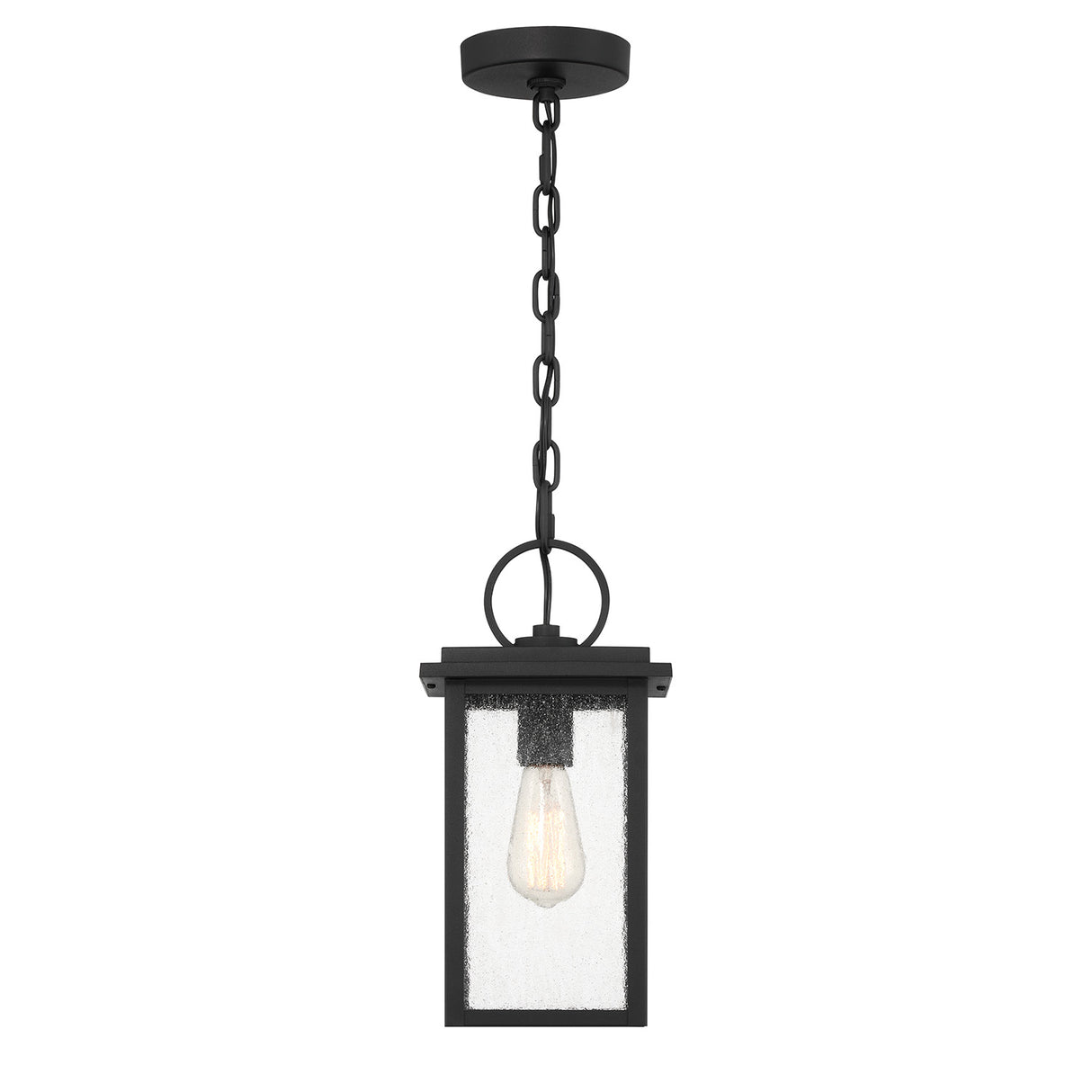 Paterson Outdoor Hanging Light, Medium 15", Black and Seeded Glass