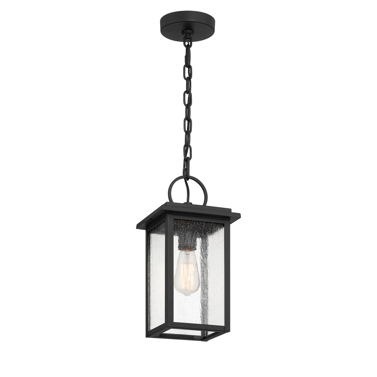 Paterson Outdoor Hanging Light, Medium 15", Black and Seeded Glass