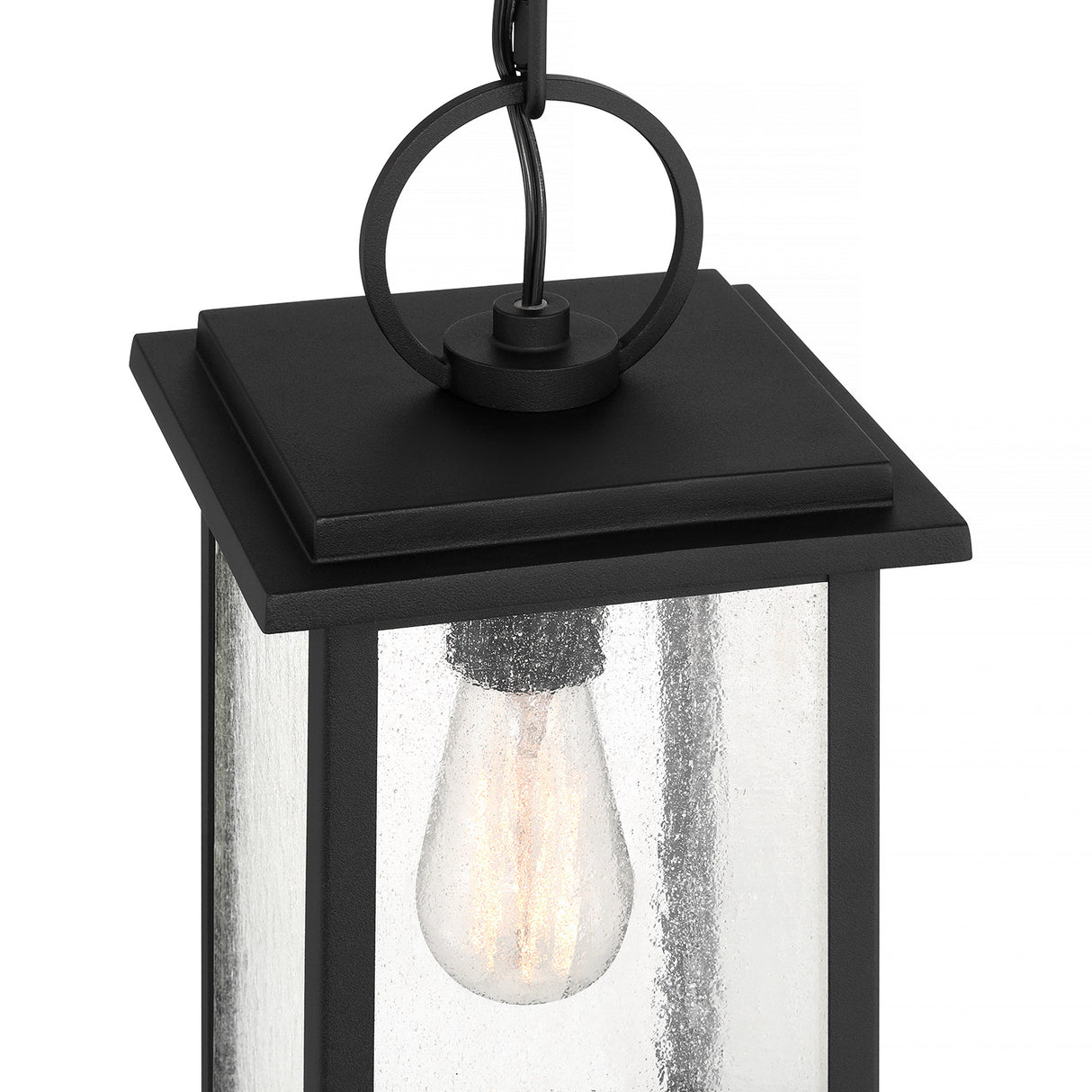 Paterson Outdoor Hanging Light, Medium 15", Black and Seeded Glass