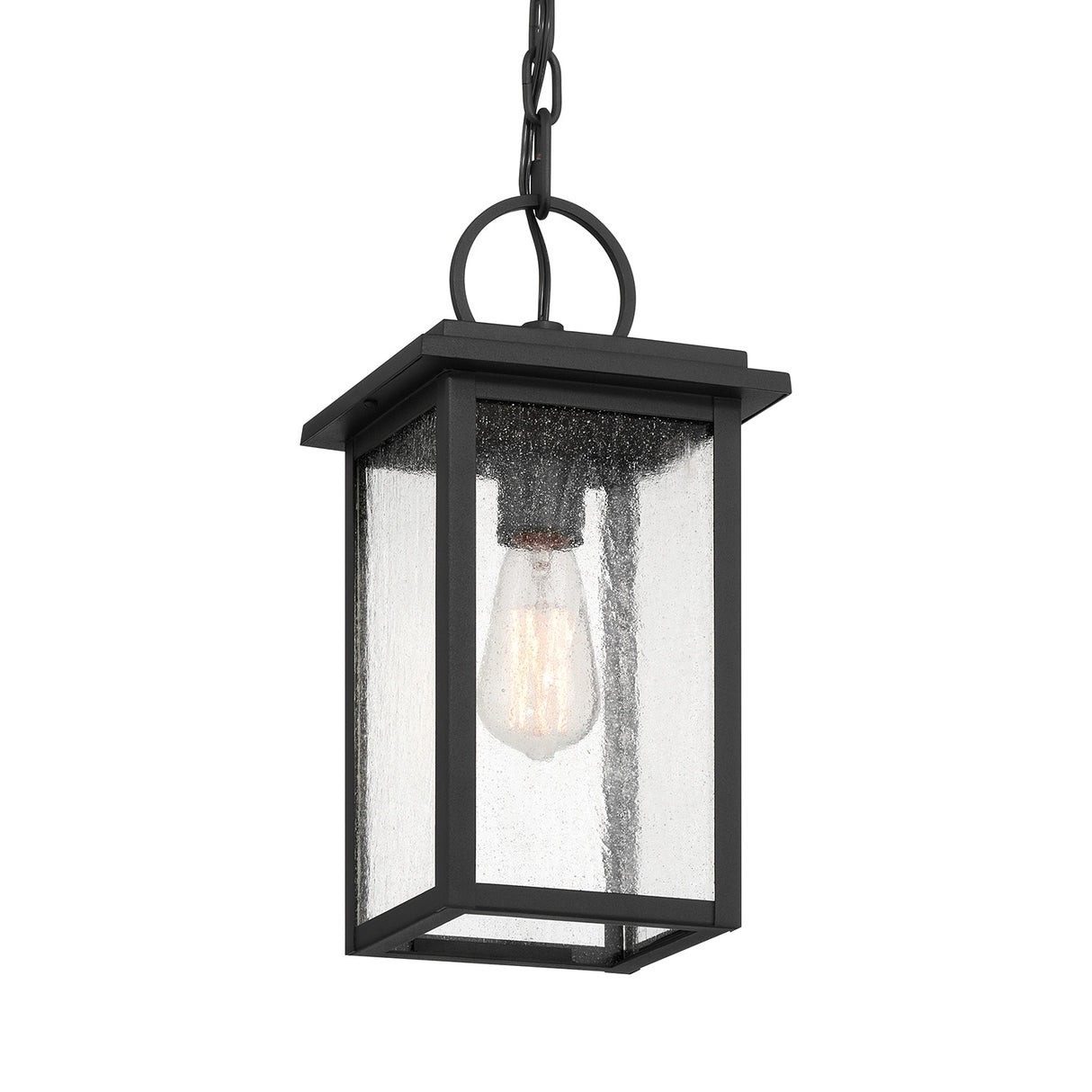 Paterson Outdoor Hanging Light, Medium 15", Black and Seeded Glass