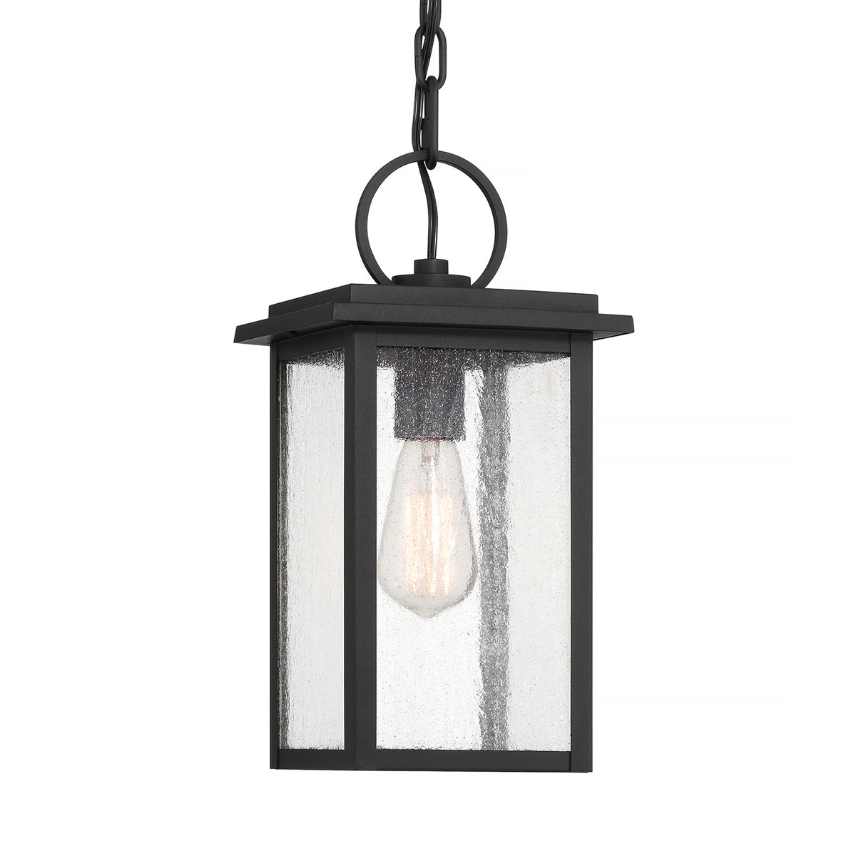Paterson Outdoor Hanging Light, Medium 15", Black and Seeded Glass