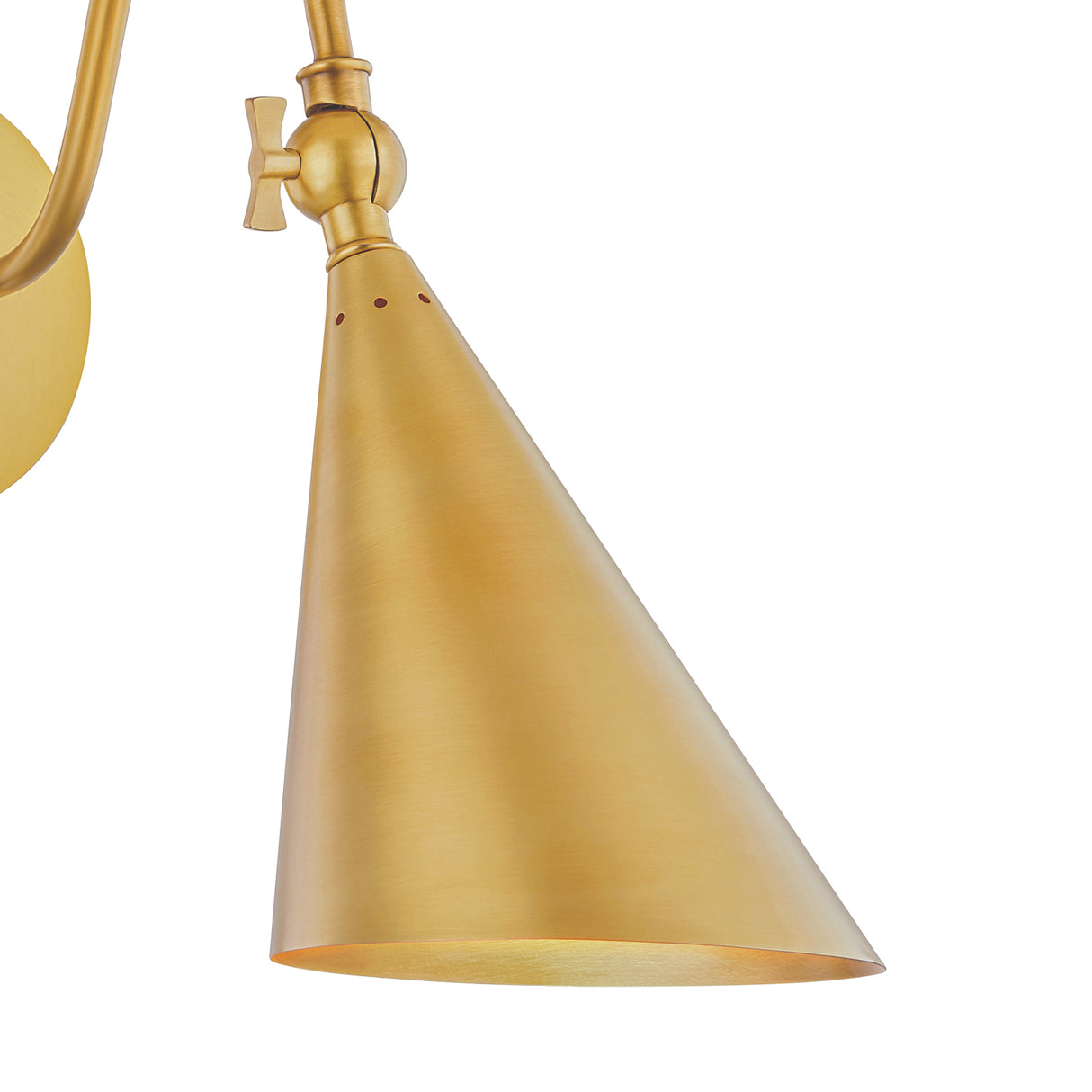 Faye Gooseneck Adjustable Wall Sconce, Aged Brass