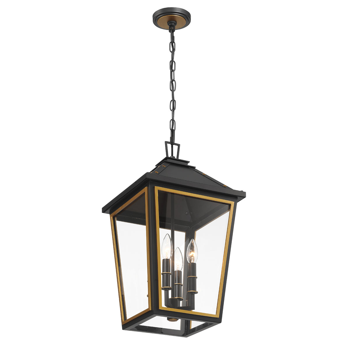 Ellington Outdoor Hanging Light, Black and Textured Gold