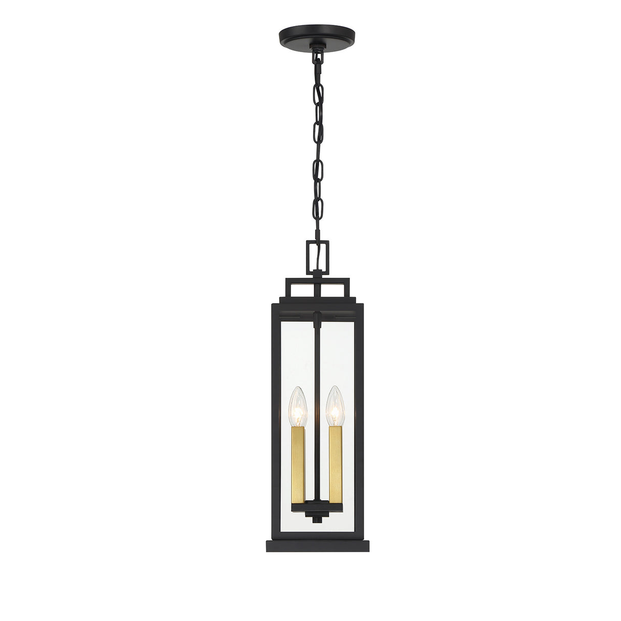 Easton Outdoor Hanging Light, Black
