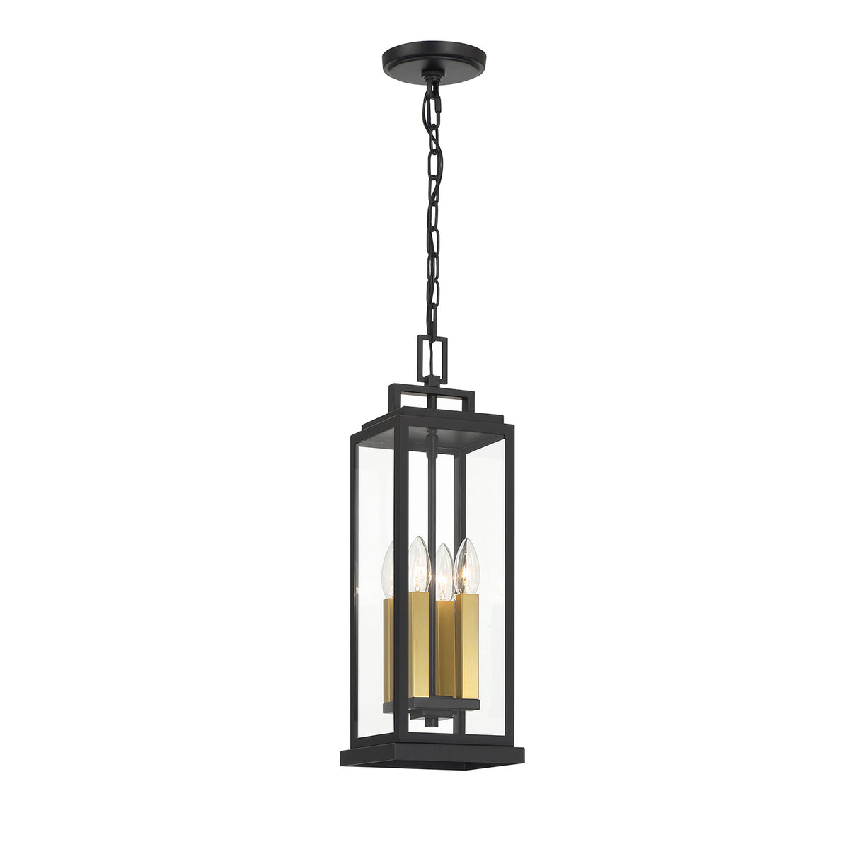 Easton Outdoor Hanging Light, Black