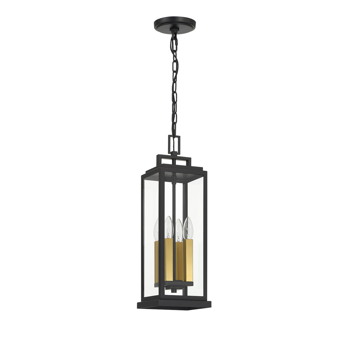 Easton Outdoor Hanging Light, Black
