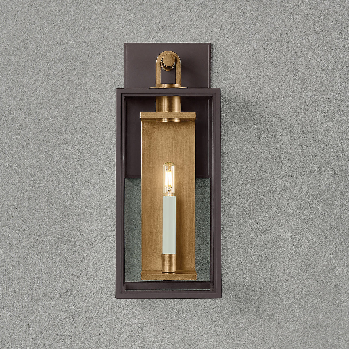 Orin Outdoor Wall Light, Medium 20" Bronze with Vintage Brass Accents