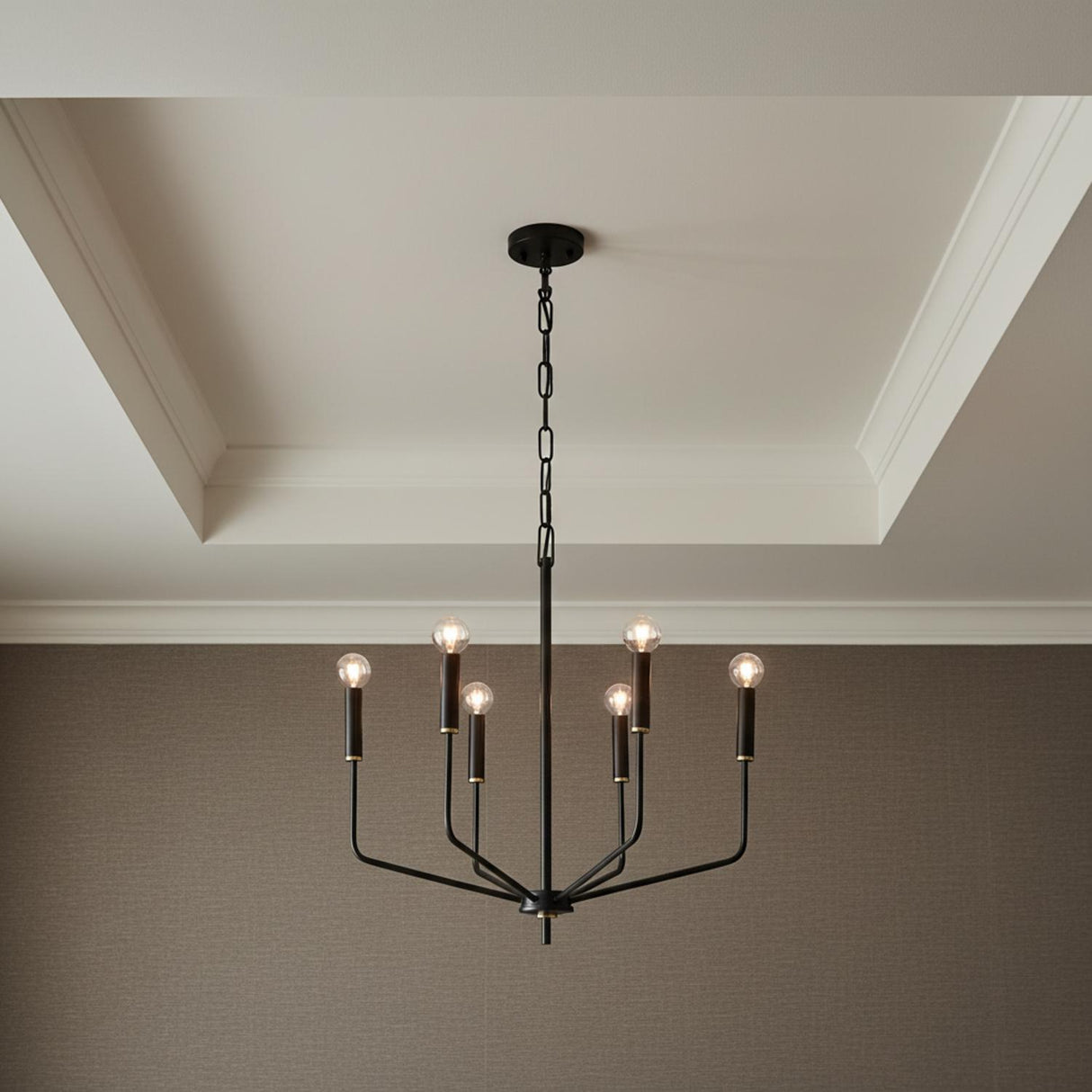 Hollis 6 Light Chandelier 24", Soft Black with Brass Accents
