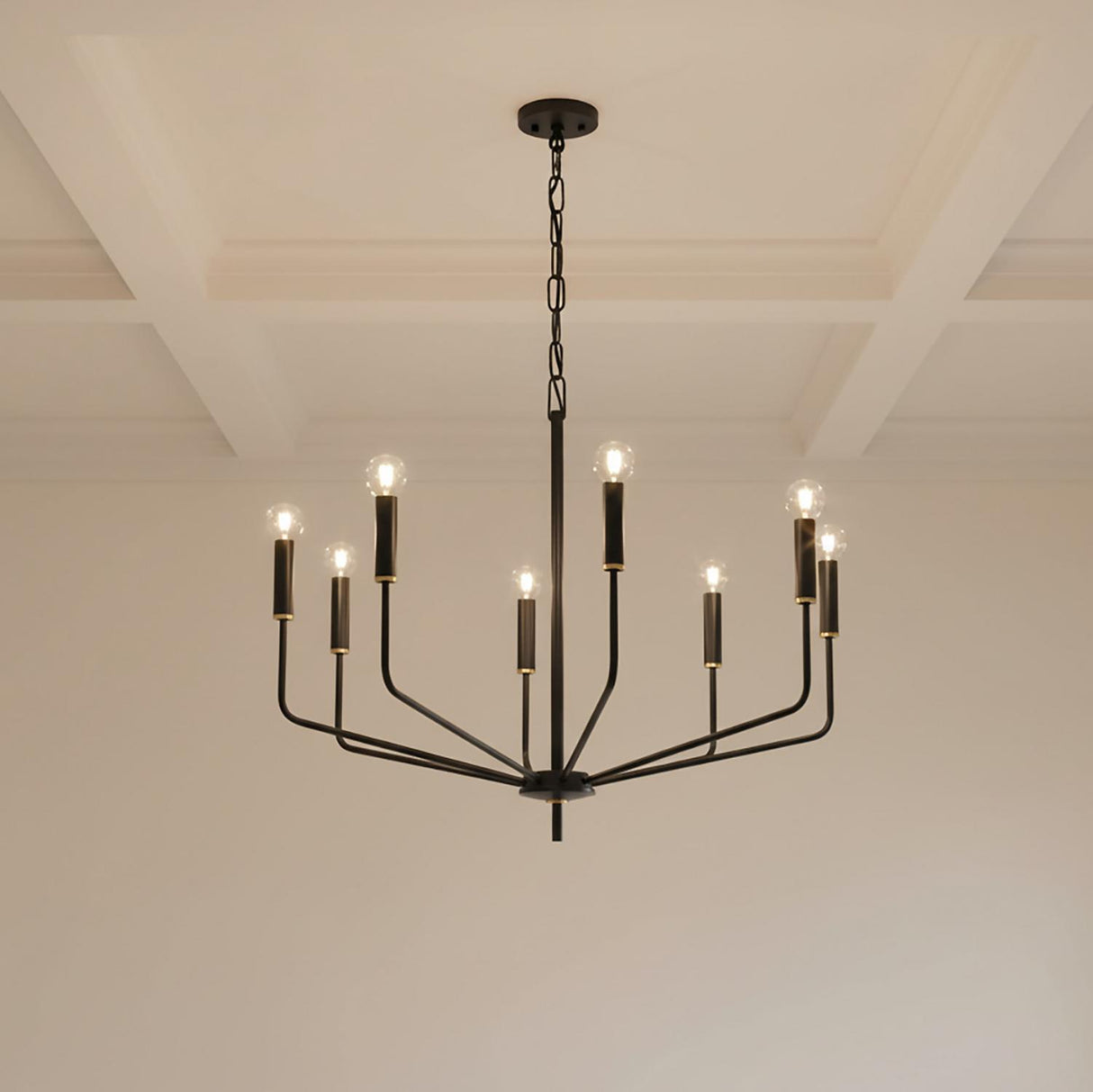 Hollis 8 Light Chandelier 30", Soft Black with Brass Accents