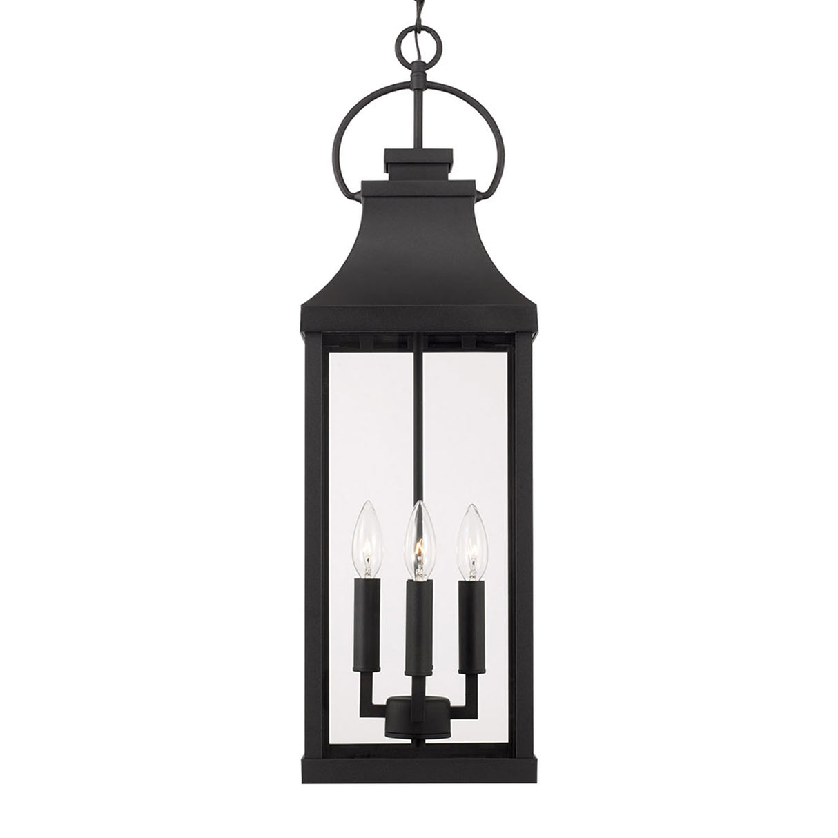 Ainsley Outdoor Hanging Light, Black