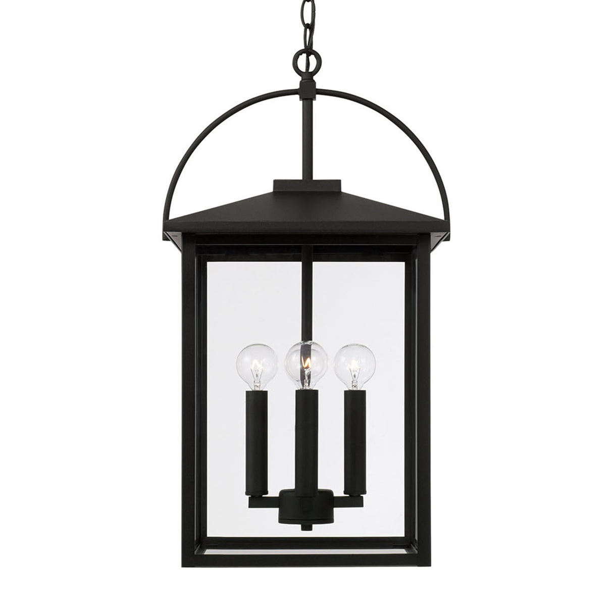 Darby Outdoor Hanging Light, Black