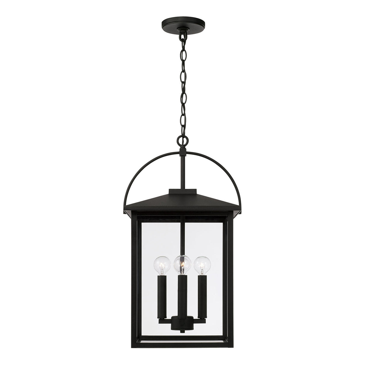 Darby Outdoor Hanging Light, Black