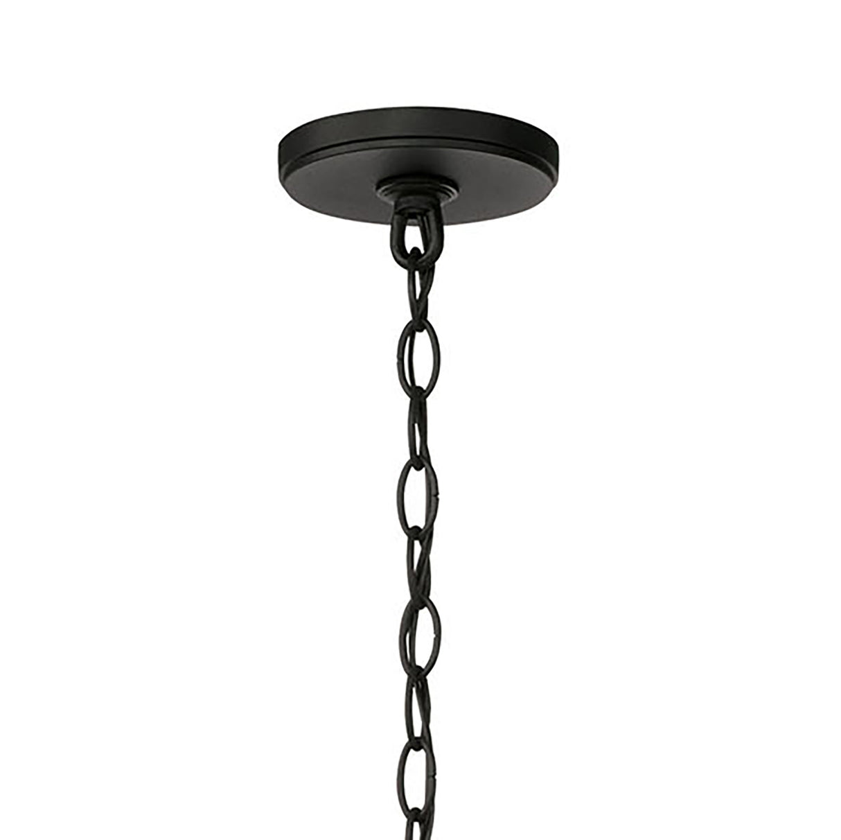 Darby Outdoor Hanging Light, Black