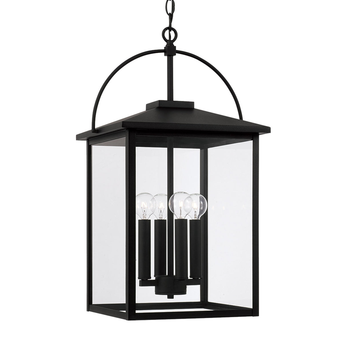 Darby Outdoor Hanging Light, Black