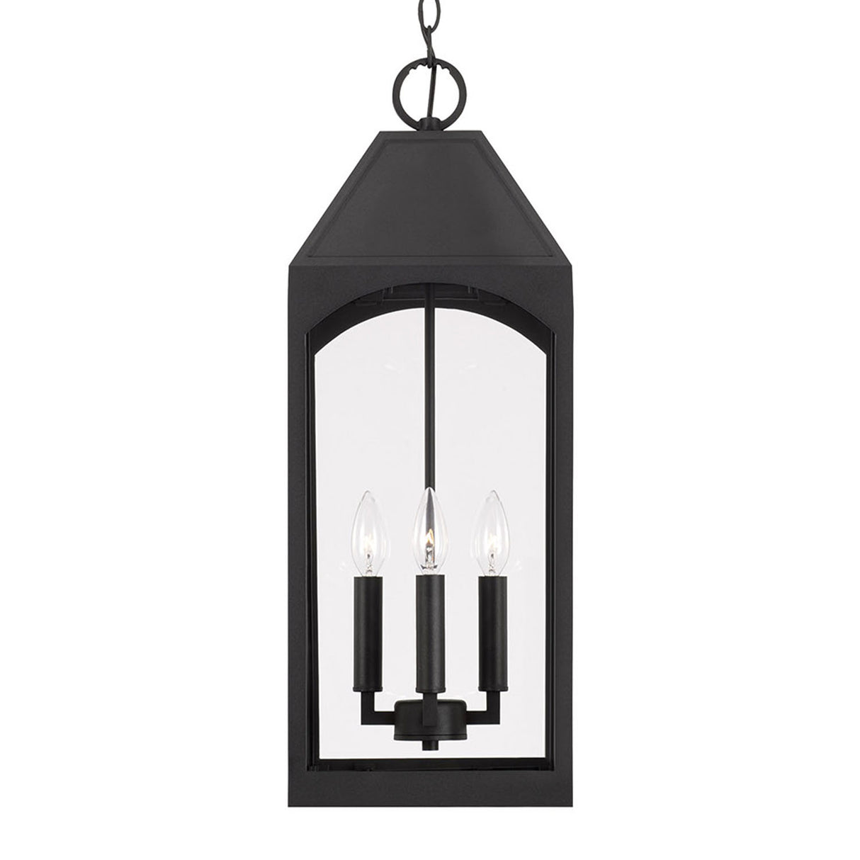 Chester Outdoor Hanging Light, Black
