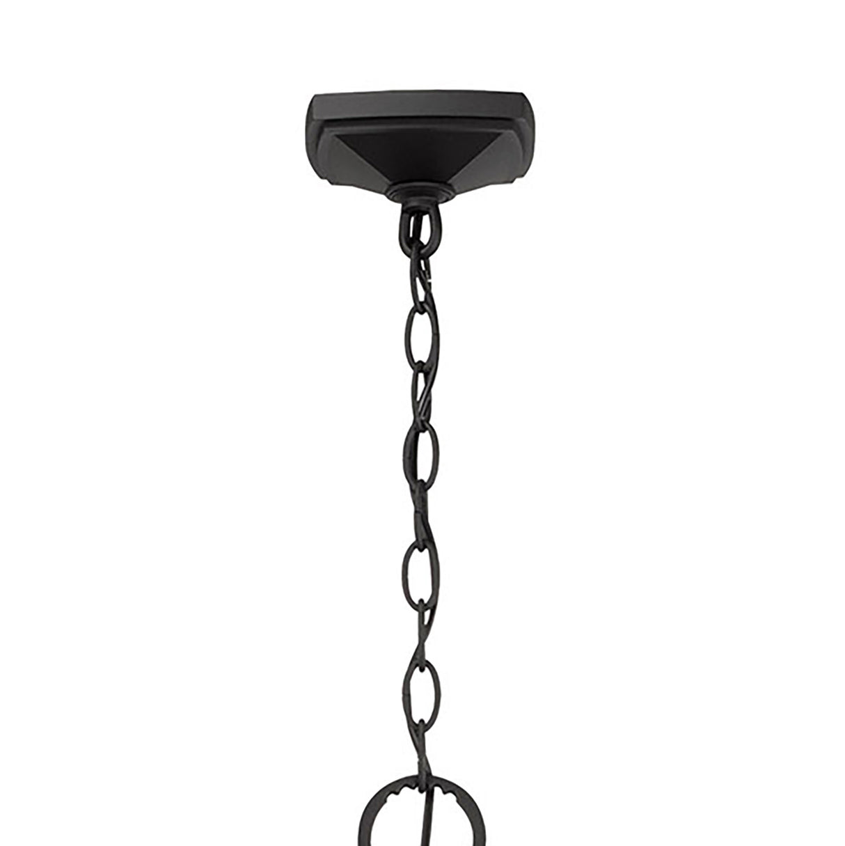Chester Outdoor Hanging Light, Black