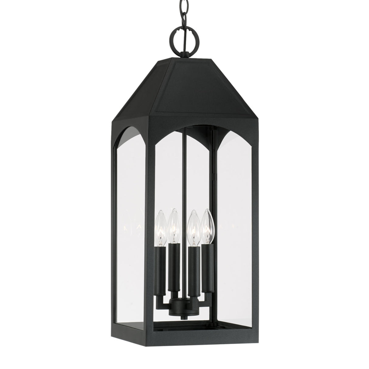 Chester Outdoor Hanging Light, Black