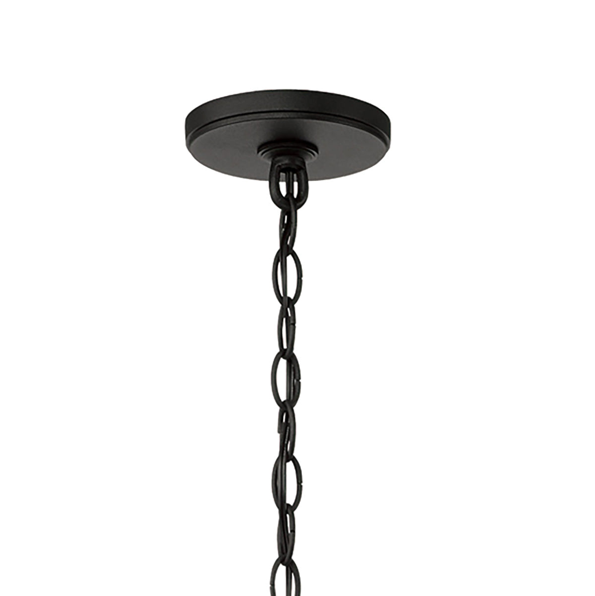 Ellery Outdoor Hanging Light, Black
