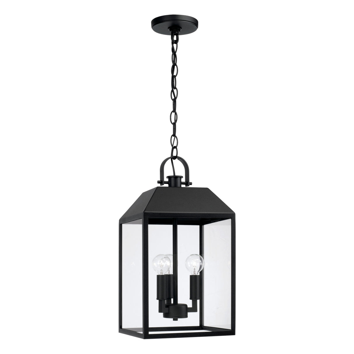 Porter Outdoor Hanging Light, Black