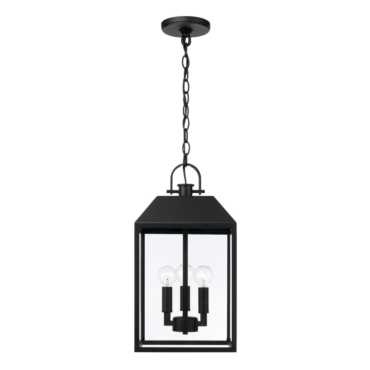 Porter Outdoor Hanging Light, Black