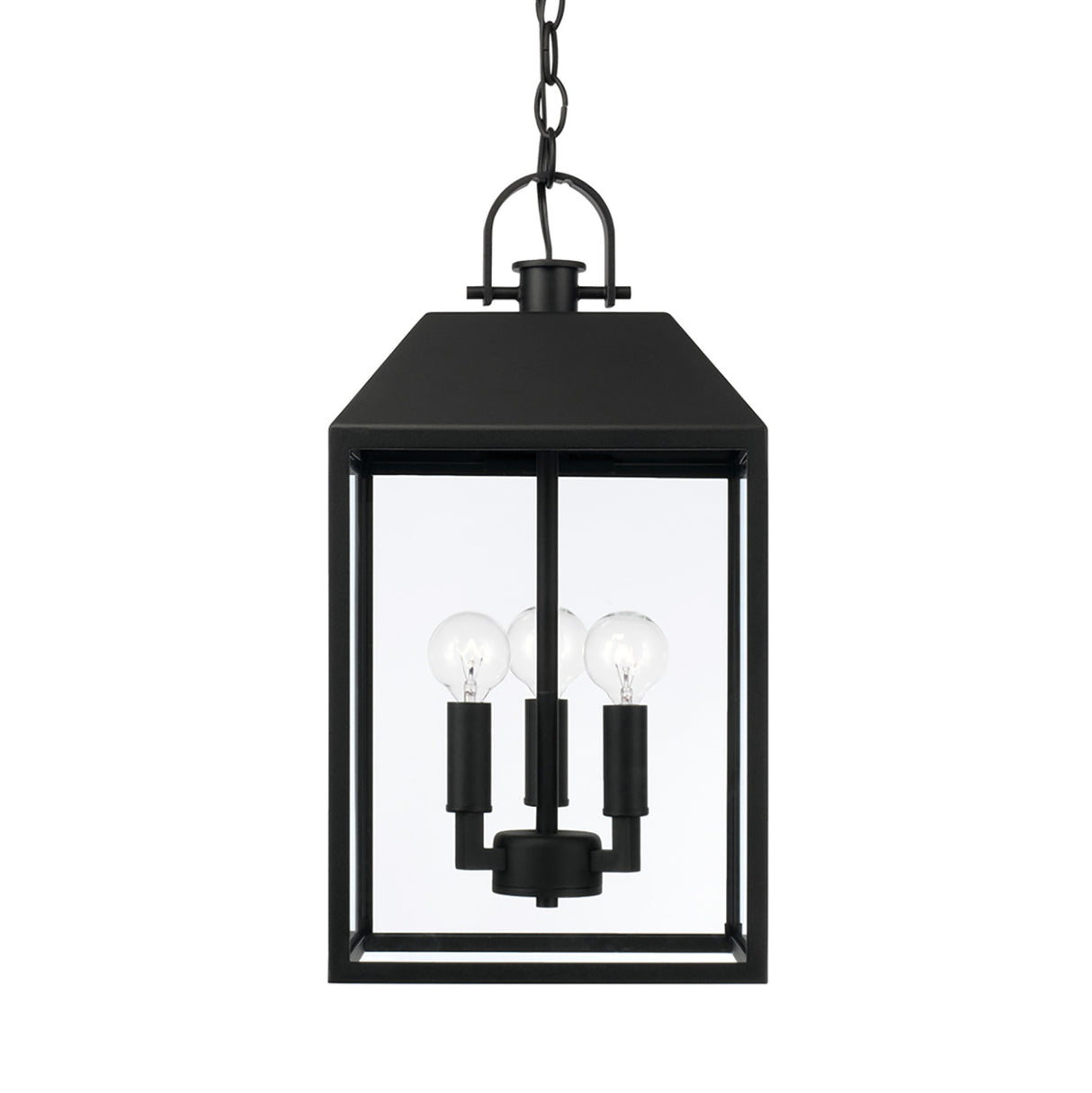 Porter Outdoor Hanging Light, Black