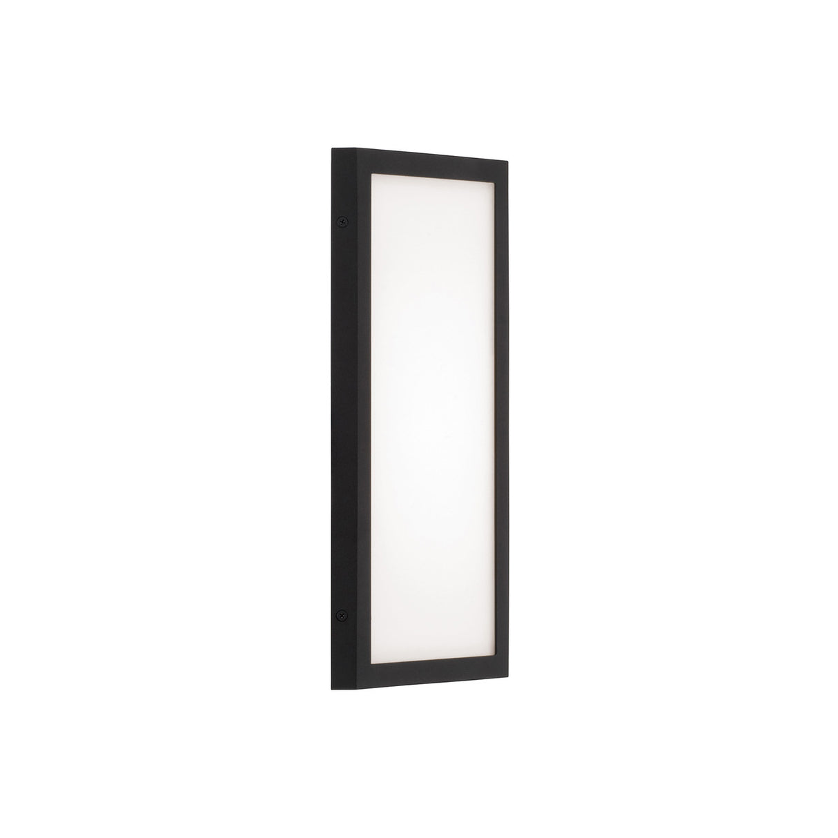 Ellis LED Outdoor Wall Light, Small 15" Black