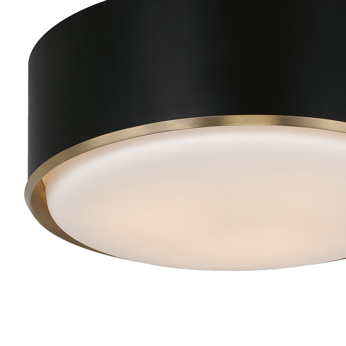 Adler Flush Mount 16", Black and Matte Brass