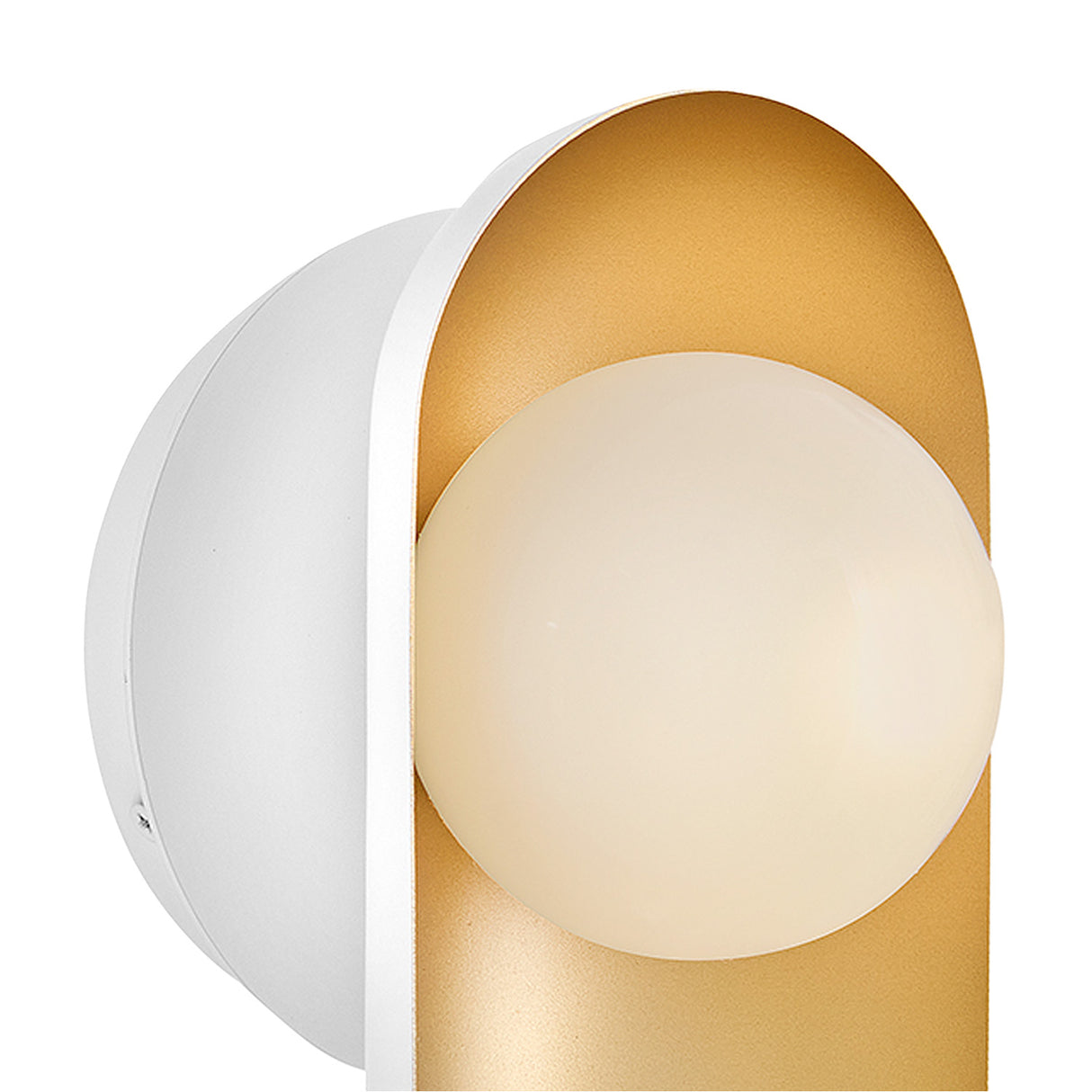 Kassidy Wall Sconce 10", White and Satin Brass