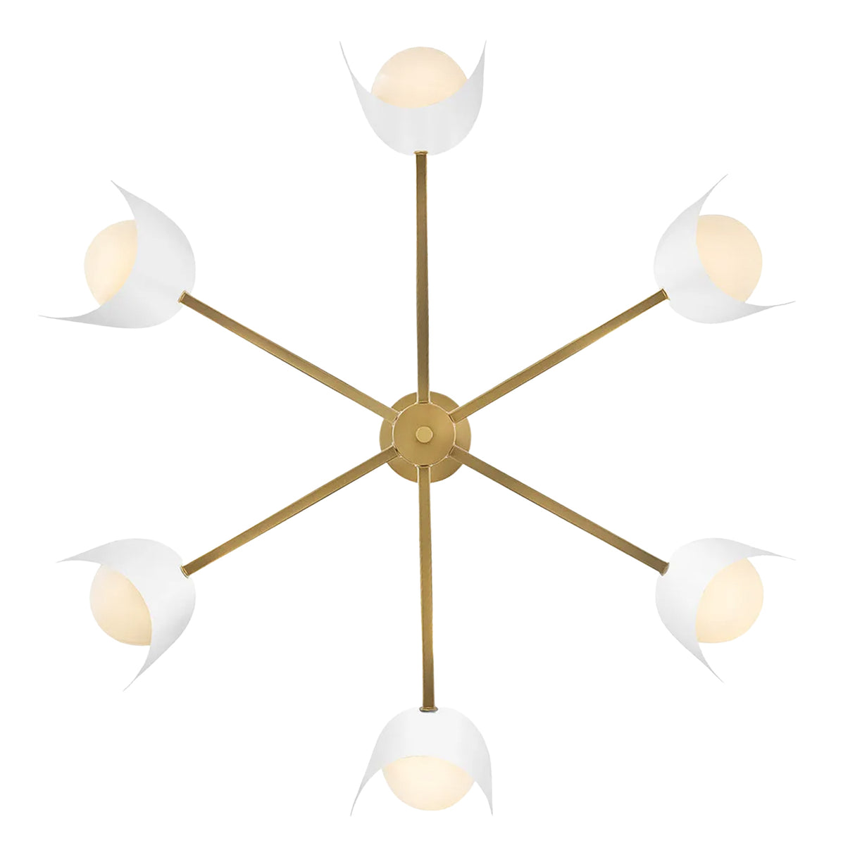 Kassidy 6 Light Chandelier 30", White and Satin Brass
