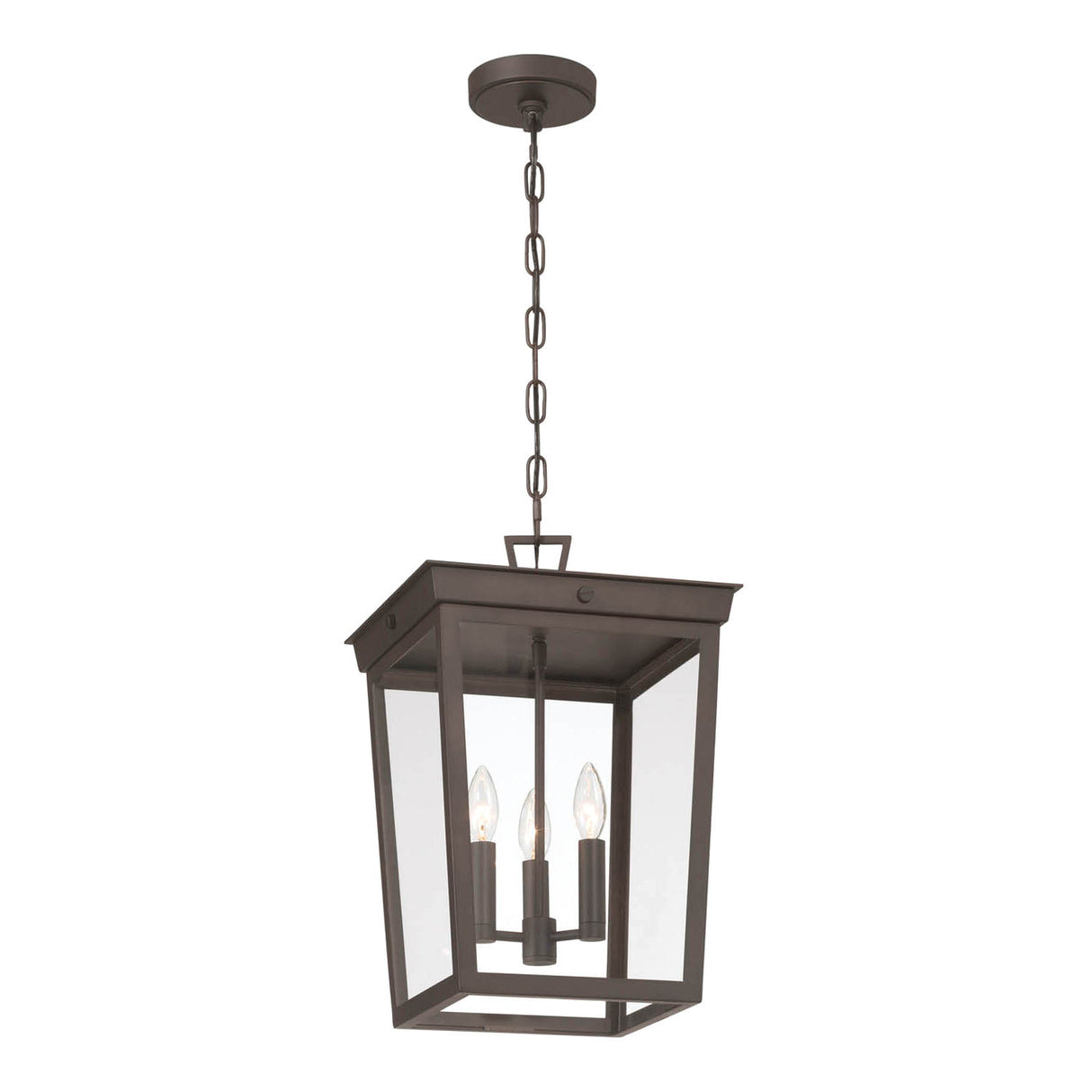 Radcliffe Outdoor Hanging Light, Old Bronze