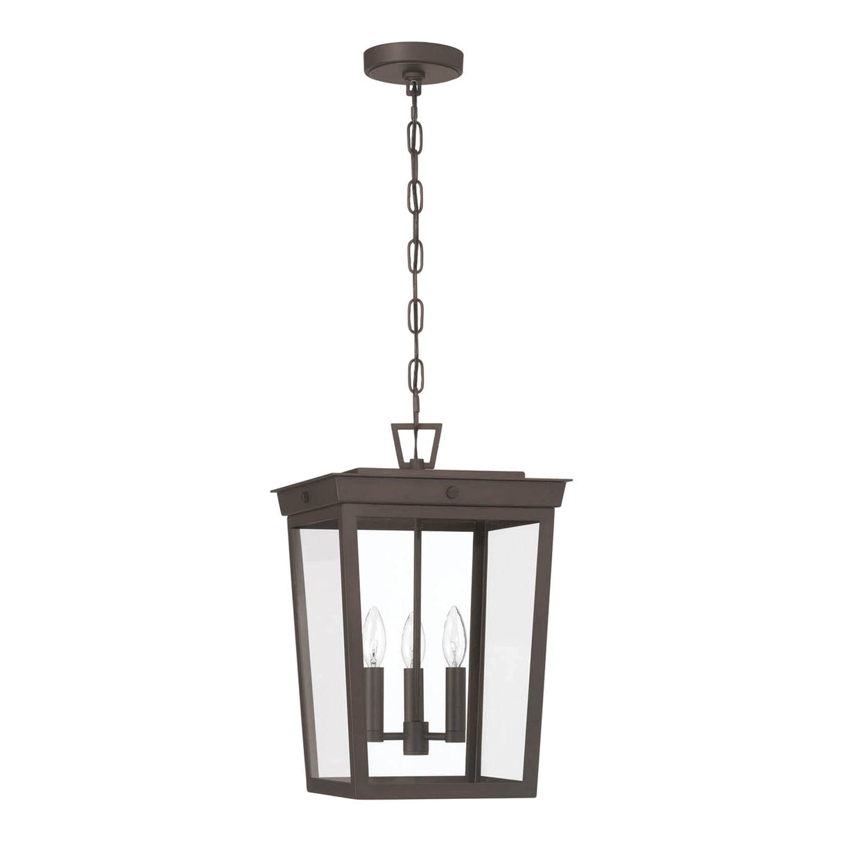 Radcliffe Outdoor Hanging Light, Old Bronze