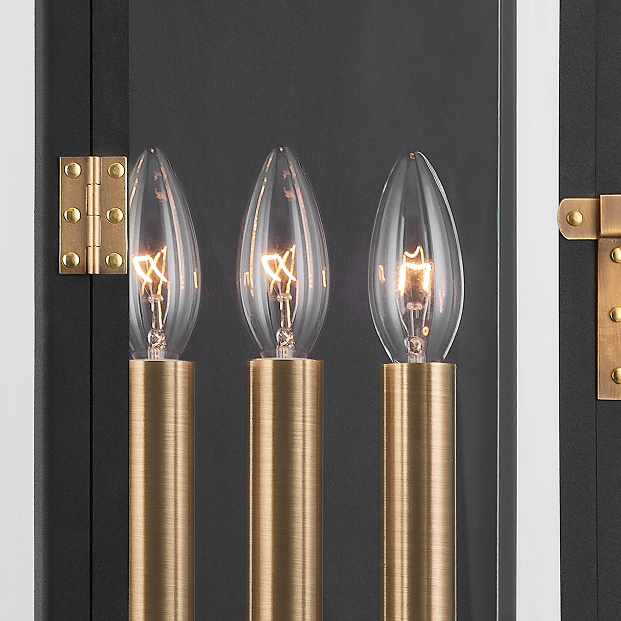 Dante Outdoor Wall Light, Extra Large 30", Black and Patina Brass