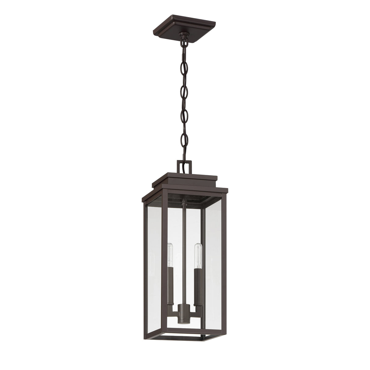 Trevor Outdoor Hanging Light, Medium 18", Bronze