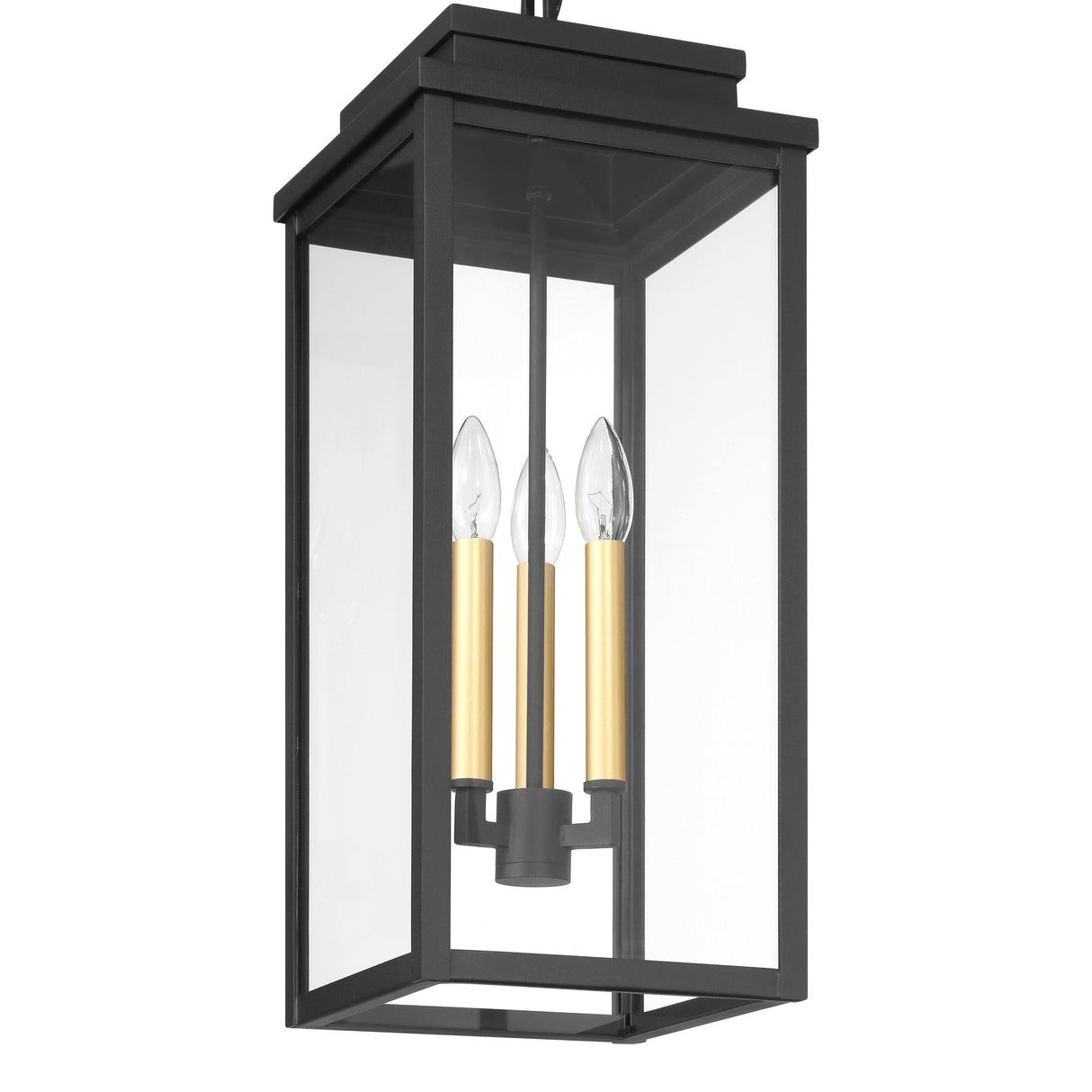 Trevor Outdoor Hanging Light, Large 23", Black