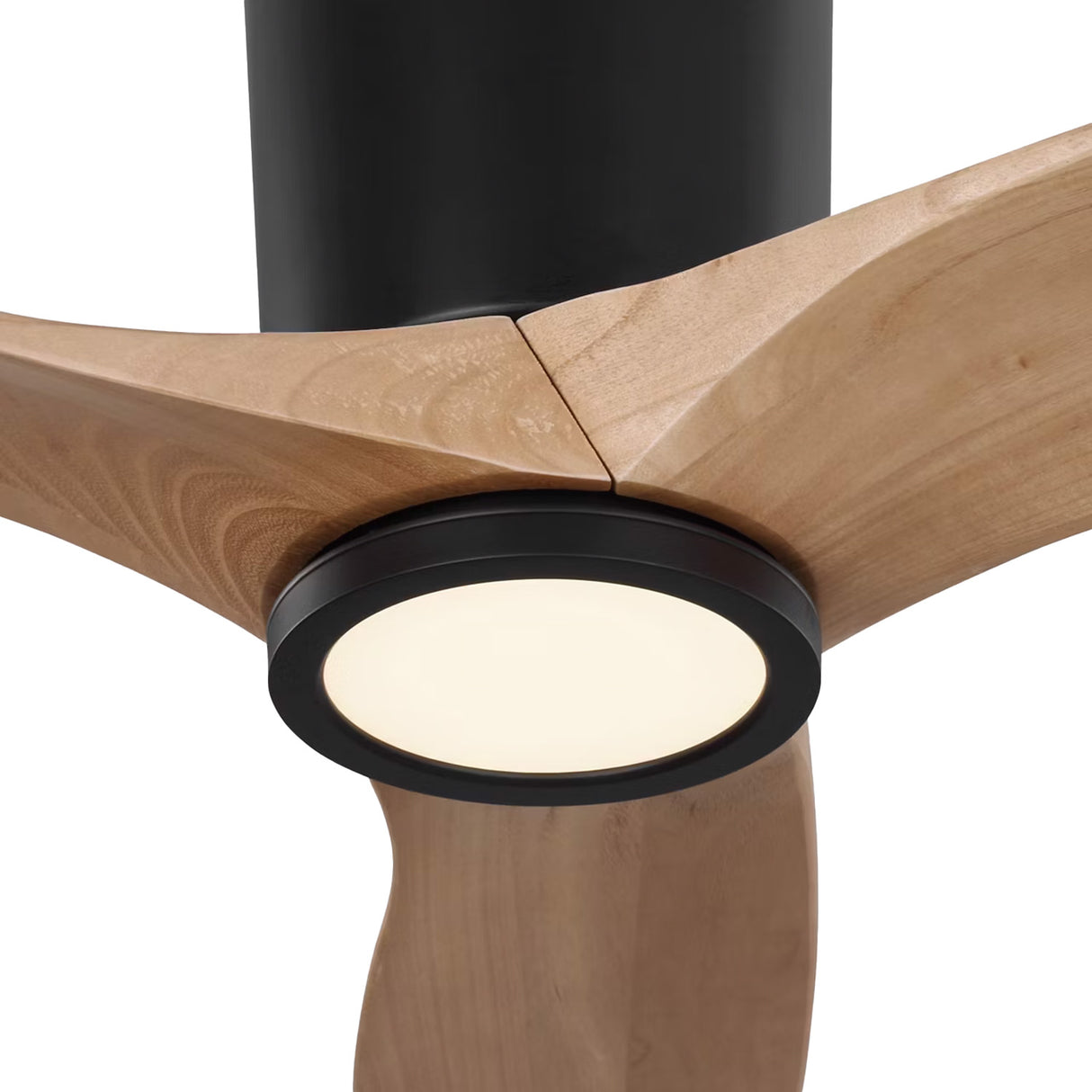 Avocet LED Ceiling Fan 52", Matte Black and Natural Oak