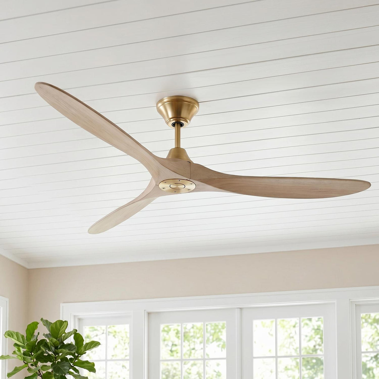 A coastal living room with an Egret Ceiling Fan 70" featuring matte white oak blades and a modern brass finish centered on a white shiplap ceiling near large windows.