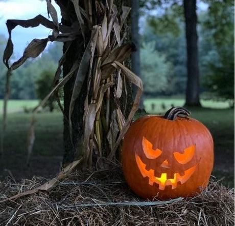 Outdoor Candles for your Jack-O'-Lanterns