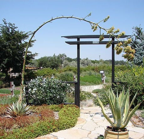 4 Tips for an Eco-Friendly Yard