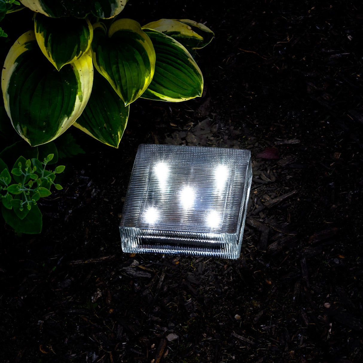 Lined Solar Brick Light, 6x6", Cool White