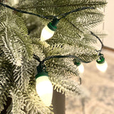 Balthazar Warm White Outdoor String Lights, 100 LED C7 Bulbs, Plug-In